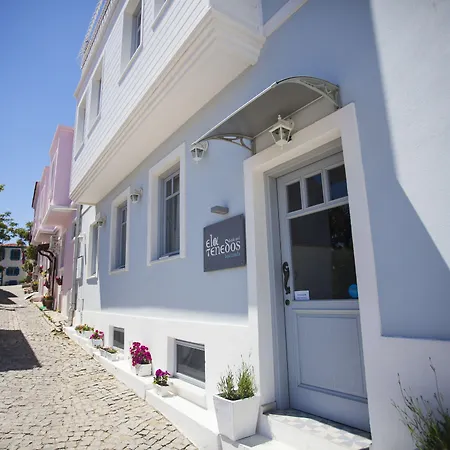 Ela - Special Category (adults Only)