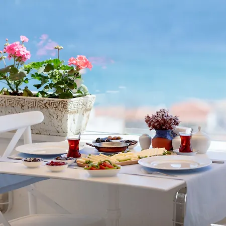 Ela - Special Category (adults Only) فندق بوزجادا