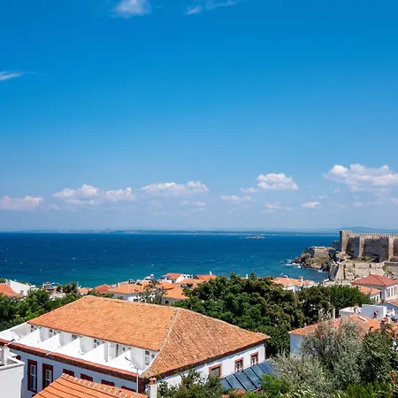 Ela - Special Category (adults Only)