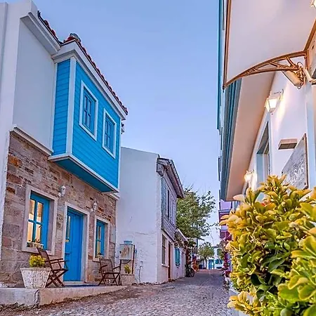 Hotel Ela - Special Category (adults Only) Tenedos