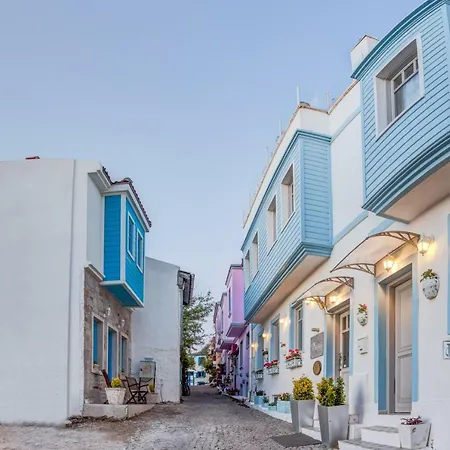 Ela - Special Category (adults Only)