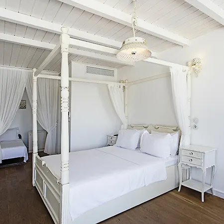 Hotel Ela - Special Category (adults Only)